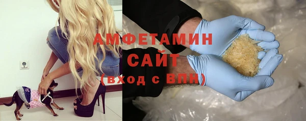 индика Балабаново
