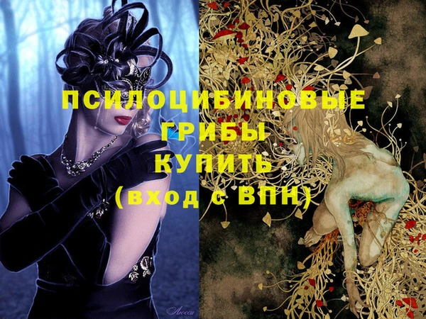 spice Арсеньев