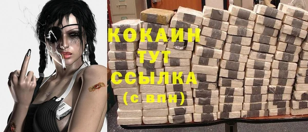 индика Балабаново