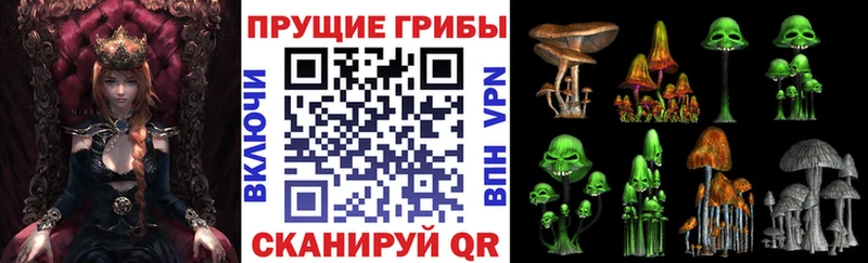 Псилоцибиновые грибы мицелий  дарнет шоп  Котельниково 